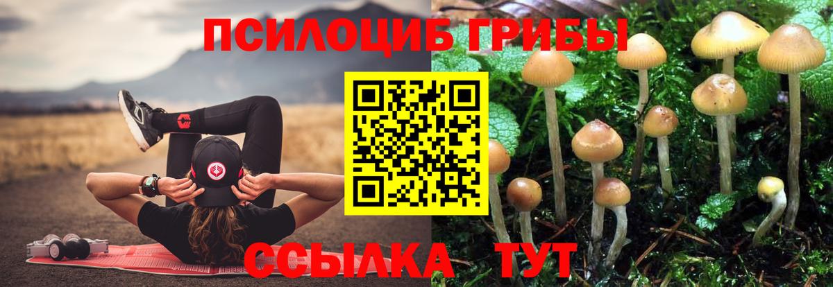Галлюциногенные грибы GOLDEN TEACHER  Вход с VPN  Грязи  Псилоцибиновые грибы Psilocybine cubensis 